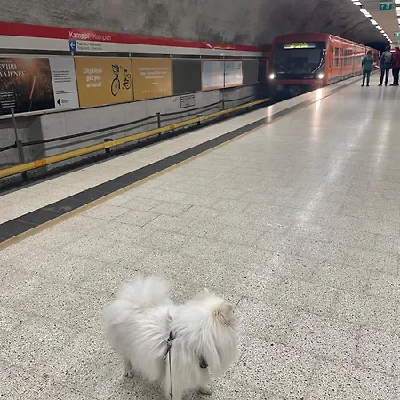 Cosy Flat In The Heart Of Center Lägenhet Helsingfors